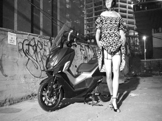 Just Look at This Minx. How Bravely Does She Walk?