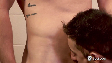 Wrestled - Timmy & Saxon