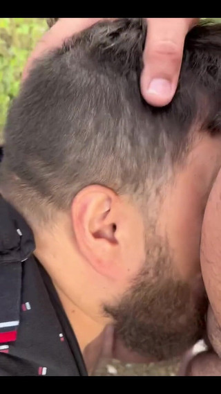 How Nice to Find a Bear Like That in the Cruising