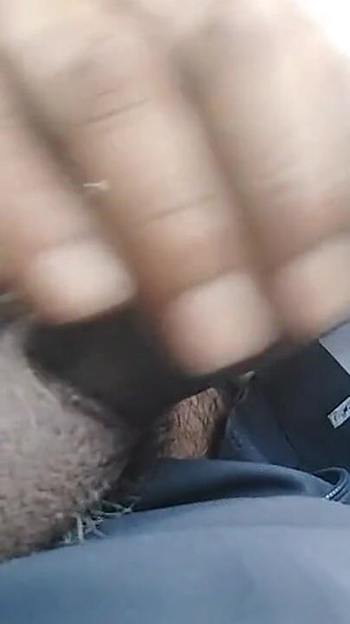 Number 1 Indian Cock