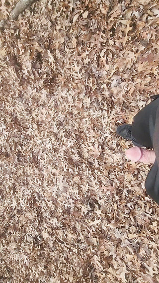 Hiking around with my cock out