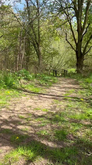 Seducing a Guy at Woods and Fucked Him as Well