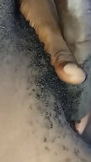 Flexing My Erect Dick