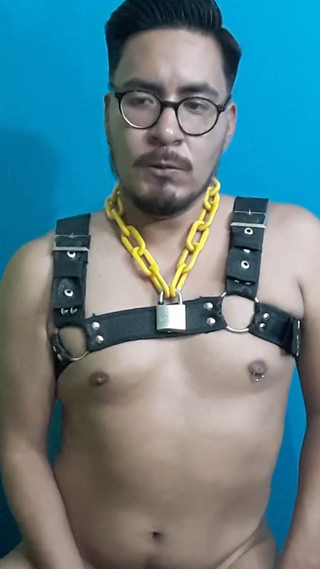 I Love Using This Harness, I Feel so Slutty