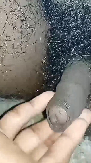 Lovely rose adit studio