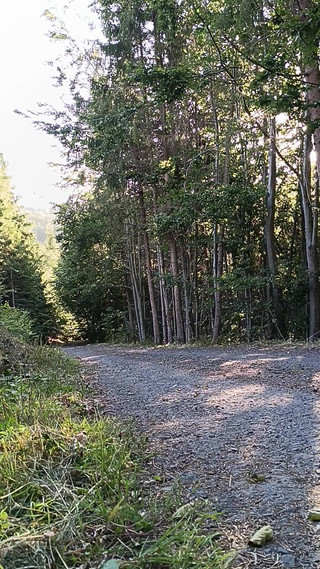 Scooter Rider Outdoor Masturbation