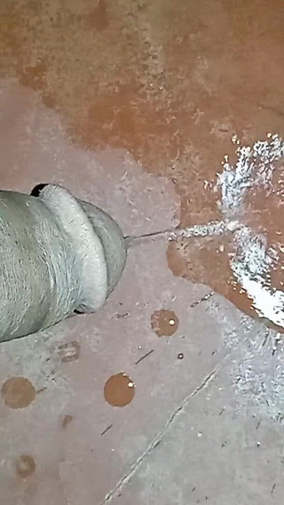 Homemade Pissing