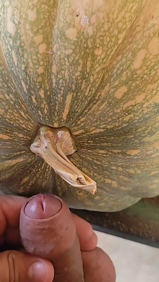 Hungry Dick Among Pumpkins for Halloween.