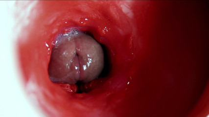 A Big Beautiful Cock Flows Abundantly Inside a Wet Slippery Hole and Smacks!