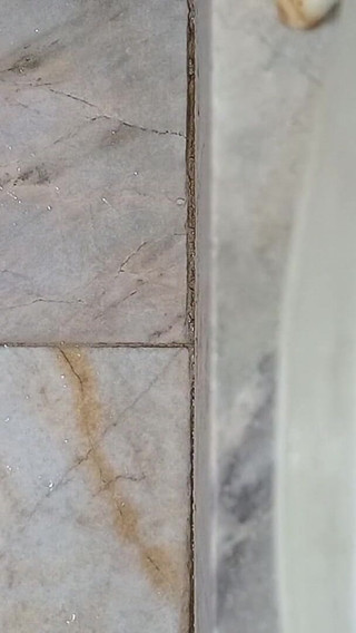 Solo Shower Play with Realistic Sex Toy POV Masturbation