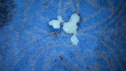 Automatic Handjob - Without Her Hands, She Sucks All My Dick Until She Can Cum!