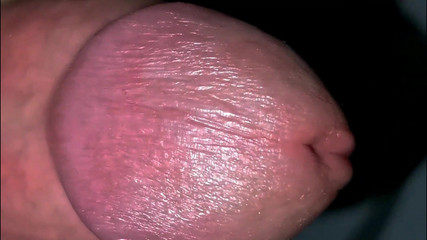 An Excited Penis and a Beautiful Ass Very Close up