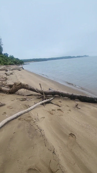 Short Walk Along the Beach.