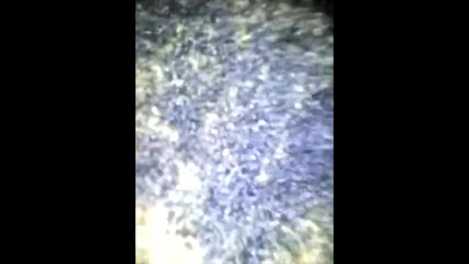 Ate up the Bolt Trackstar - Classic