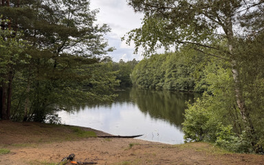 Summer Vacation 2025, Video Diary Part 2