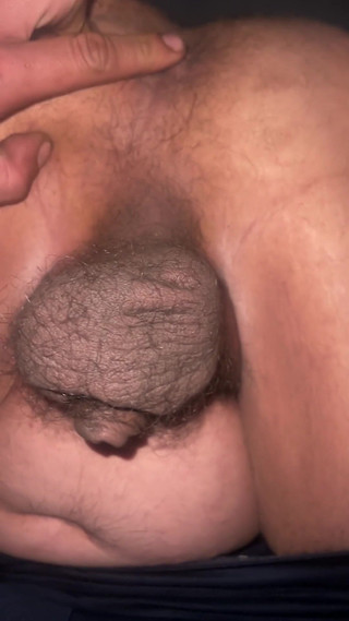 The the Great Wall of the Americas Is a