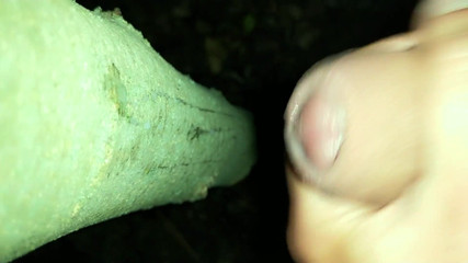 I Added My Cum on "cruising Cum Tree"