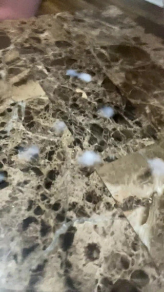 Feeding You Cock Hungry Sluts and Cum Thirsty Whores Big Cock