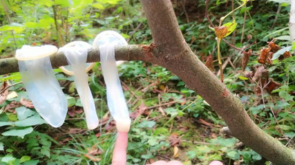 Swallowing Cum From Three Used Condoms Found Outdoor