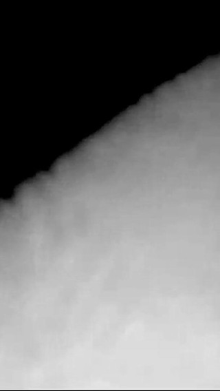 Risky Fun in the Park!