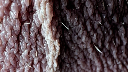 Massage Eggs Until the End