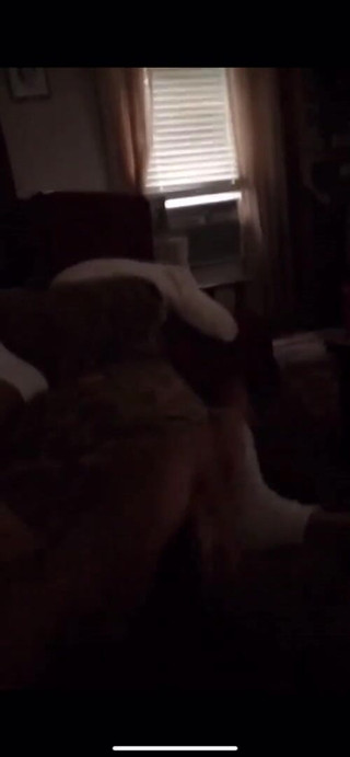 Stroking My Dick Should I Make More Videos?