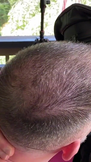 The Scent of Leather