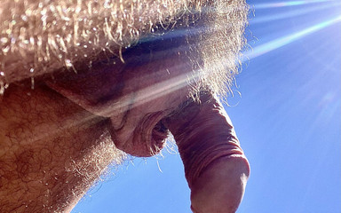 Checking That Everything Is in Order at the Construction Site